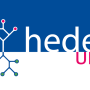 hedera-logo-horizontal-rectangle.png